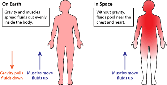 fluids in space